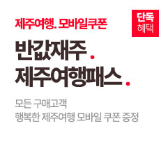 단독 . 반값재주. 제주여행패스